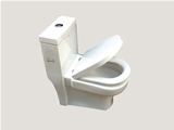 Small flush toilet
